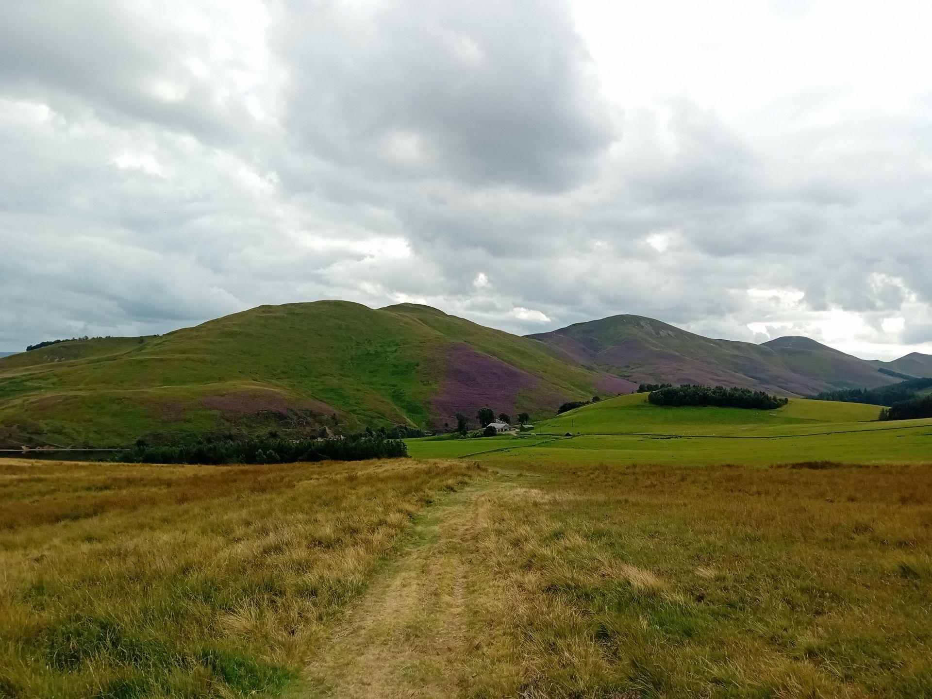 The Pentland ridge from Harbour Hill